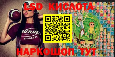 мдпв Гусев