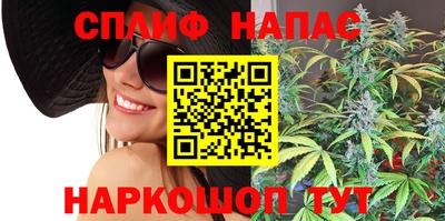 мдпв Гусев