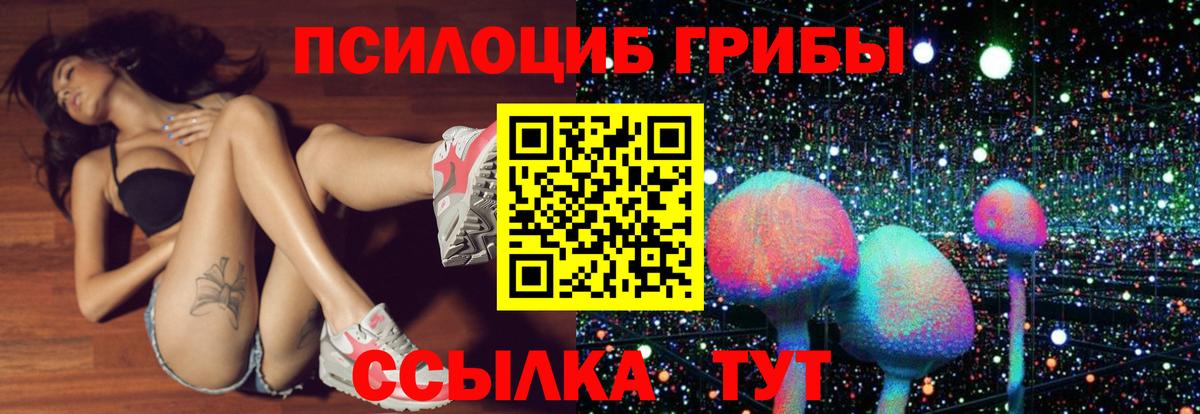 Михайловка  Галлюциногенные грибы Magic Shrooms  Вход с VPN  Галлюциногенные грибы прущие грибы 
