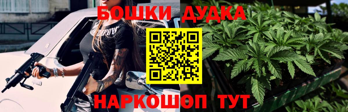 Бошки Шишки планчик Михайловка