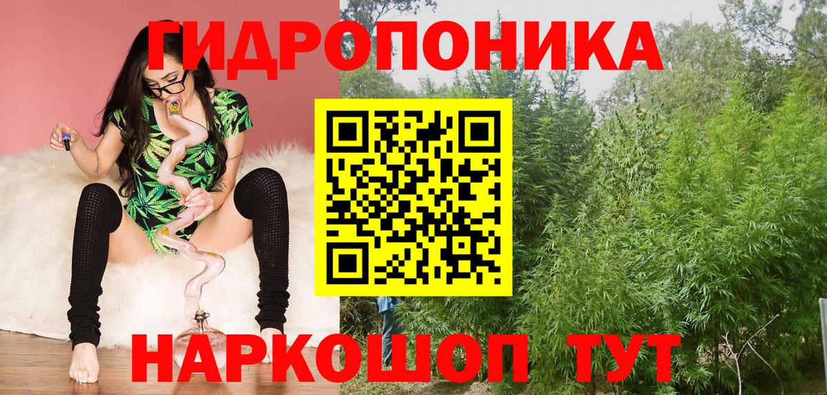 Михайловка  ЭКСТАЗИ  Cocaine  Конопля  Вход с VPN  ГАШИШ  ГАШИШ  Меф кристаллы  ТГК 
